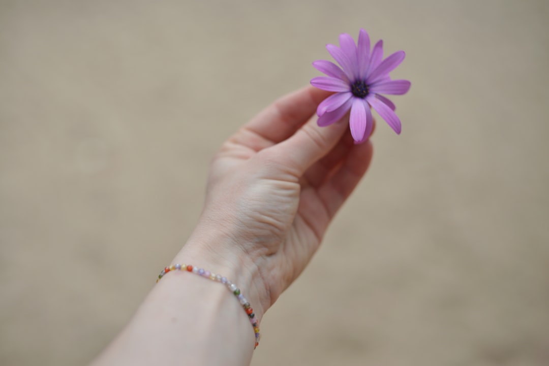 Le lotier corniculé, la petite fleur qui invite au repos